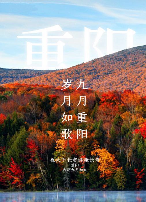 金水里社区重阳主题活动
